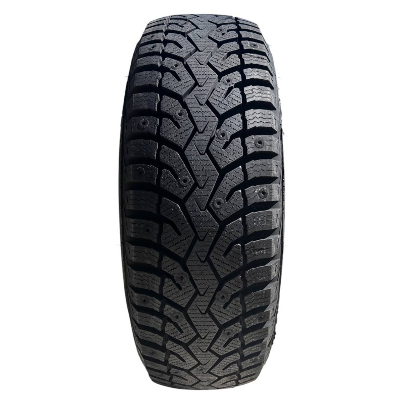 215/65 R17 [99] T RXFROST POLAR EDGE