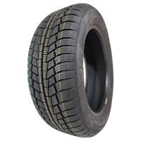 195/55 R16 [91] H WINTECH XL