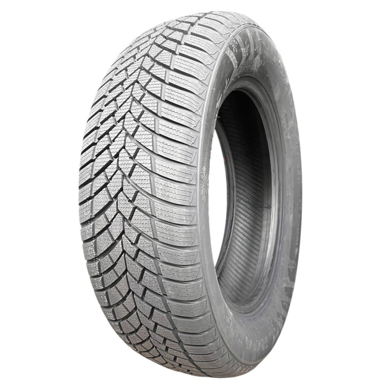 215/65 R17 [103] H RXFROST TEMPO XL