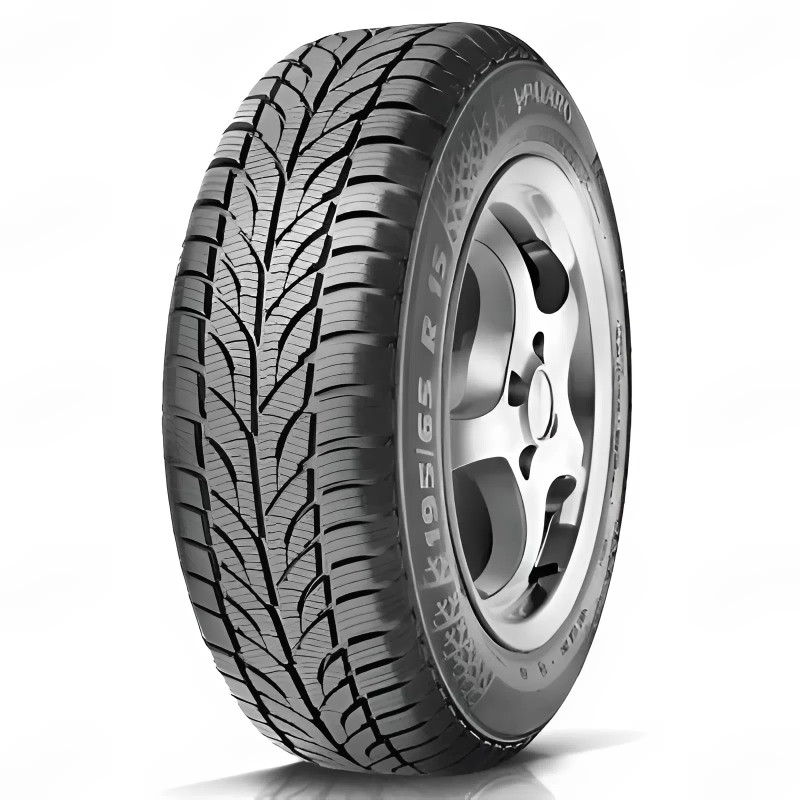 215/55R16 M+S 93H Winter Paxaro шина
