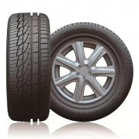 205/45R17 M+S 88V IceMax RW505 XL Kapsen шина